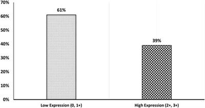 The Prognostic Value of the Developmental Gene FZD6 in Young Saudi Breast Cancer Patients: A Biomarkers Discovery and Cancer Inducers OncoScreen Approach